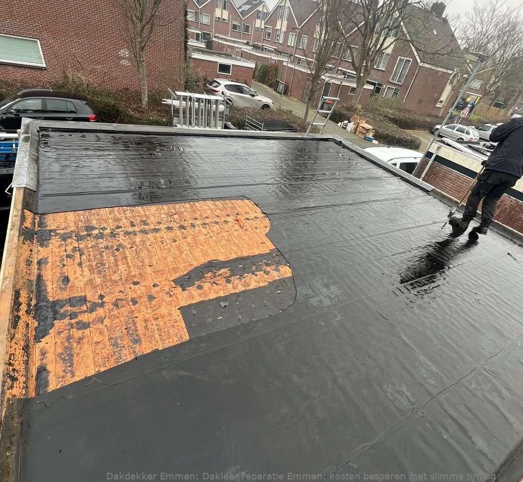 Dakleer Reparatie Emmen