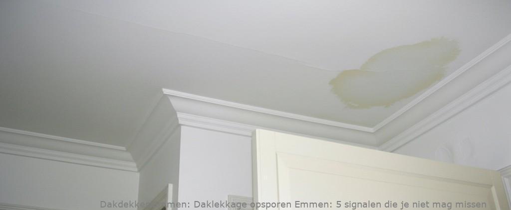 Daklekkage Opsporen Emmen 1