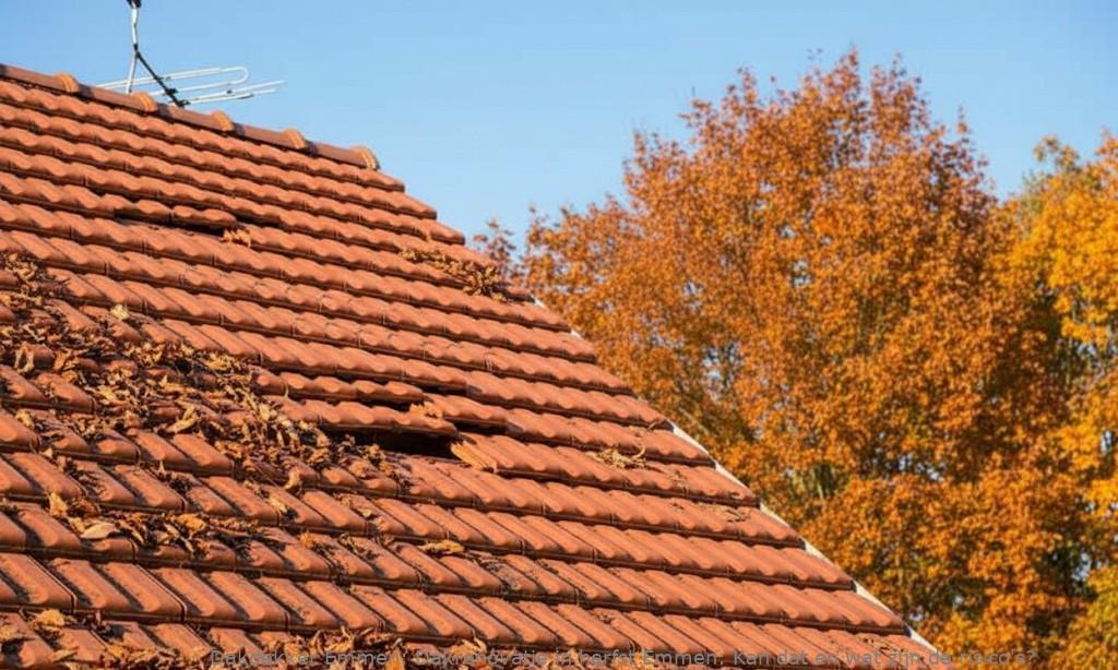 Dakrenovatie In Herfst Emmen