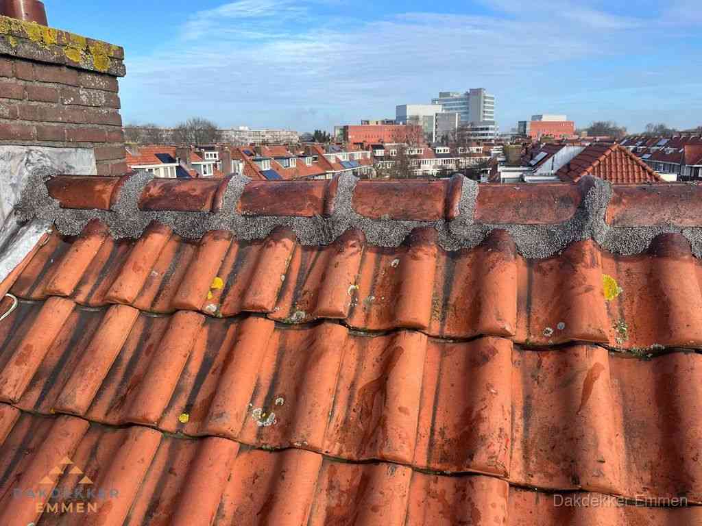 Emmen Daken Renoveren