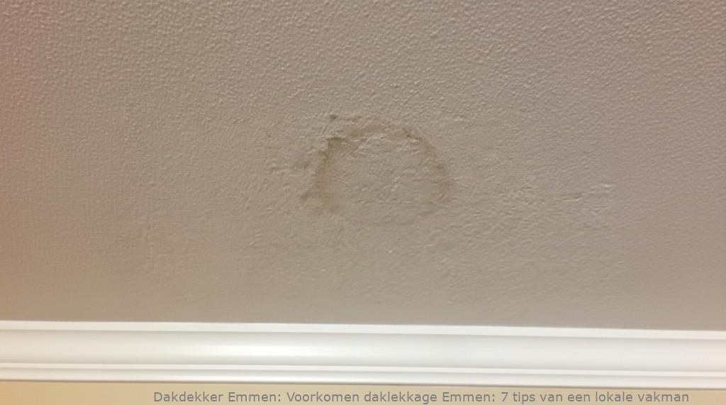 Voorkomen Daklekkage Emmen